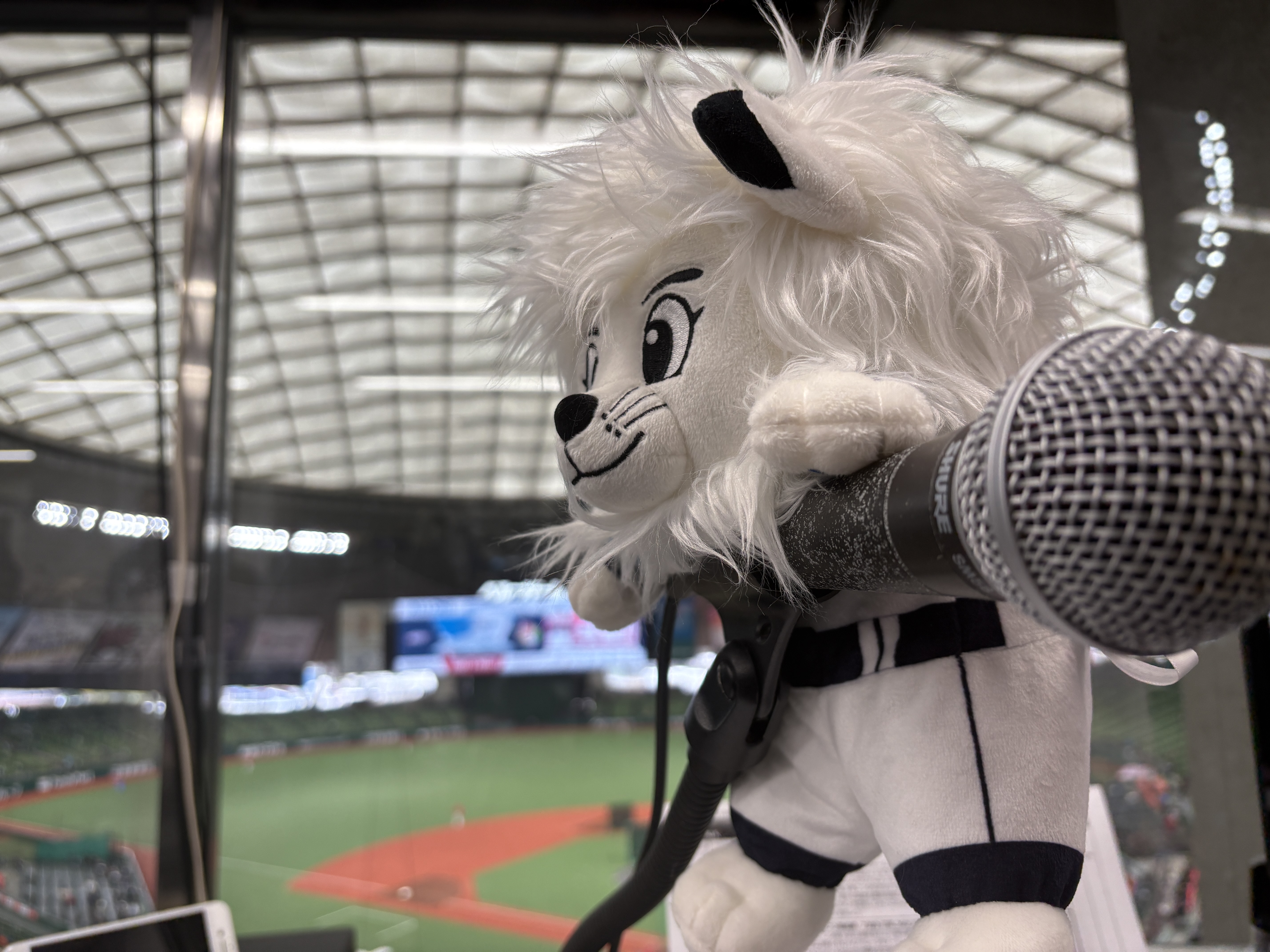 Seibu Lions